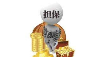非融資性擔(dān)保 金融領(lǐng)域的重要補(bǔ)充